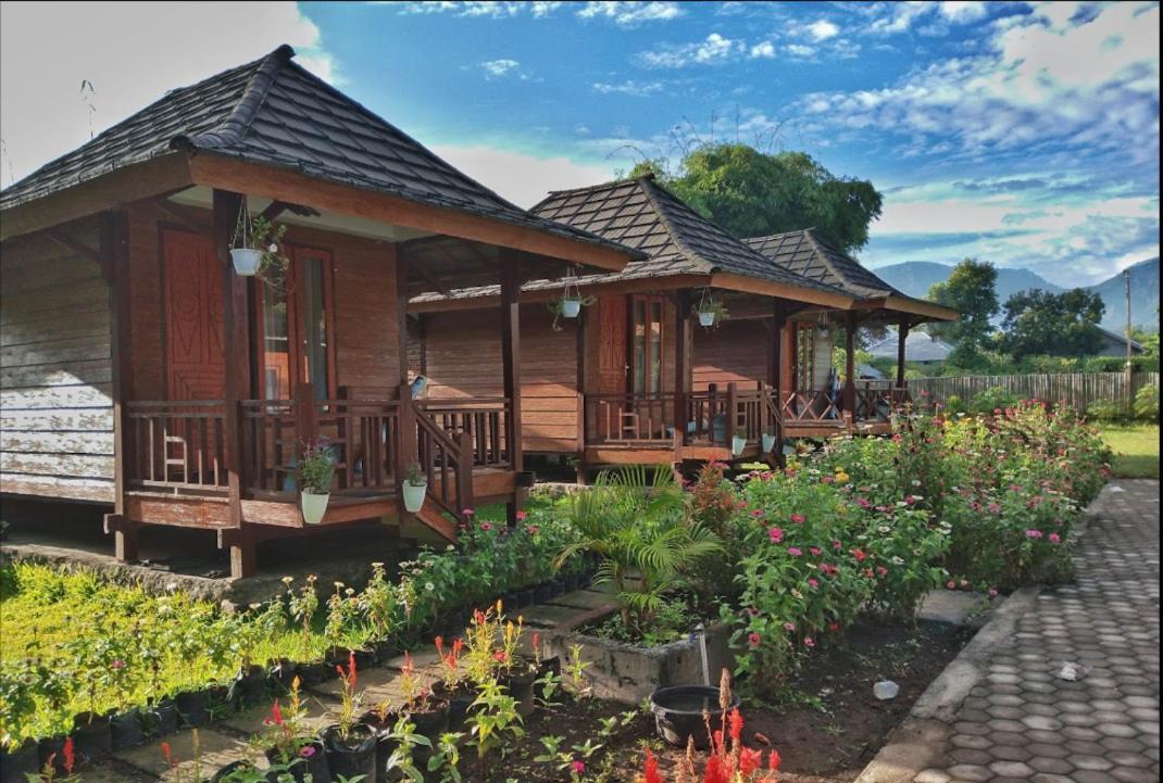 Puncak Rinjani Lodge Sembalunlawang Esterno foto